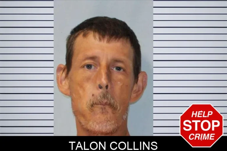 Talon Collins
