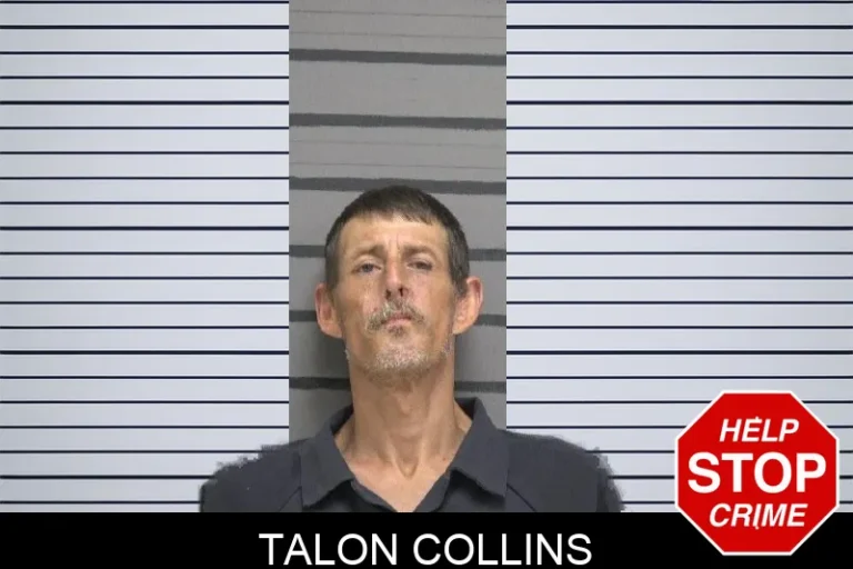 Talon Collins