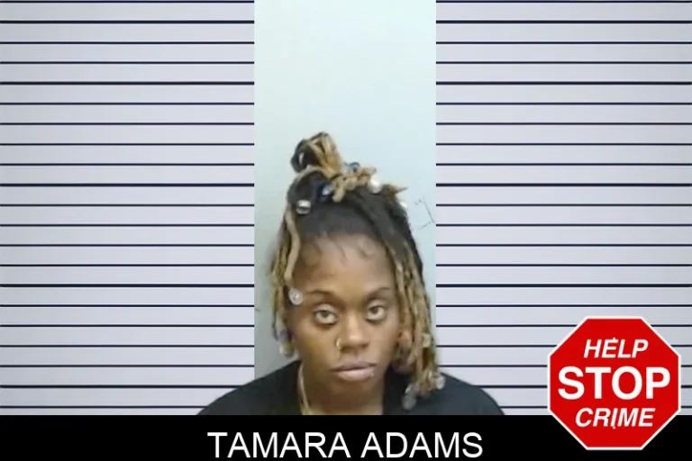 Tamara Adams mugshot – Fulton County , Georgia Tamara Adams