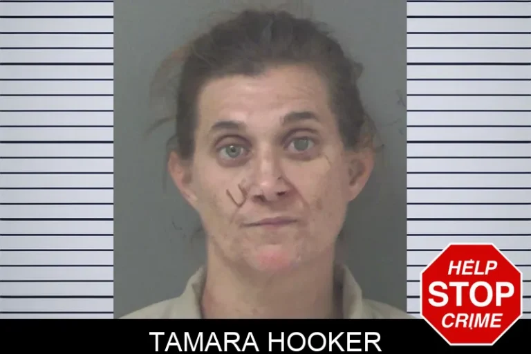 Tamara Hooker mugshot β Douglas County , Georgia Tamara Hooker