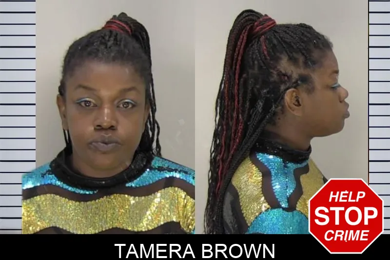 Tamera Brown Mugshots