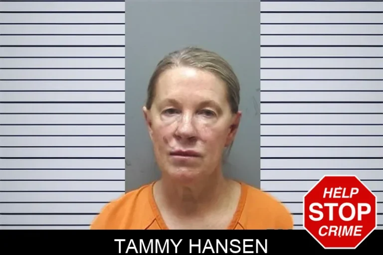 Tammy Hansen mugshot – Cherokee County , Georgia Tammy Hansen