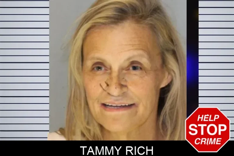 Tammy Rich mugshot β Hall County , Georgia Tammy Rich