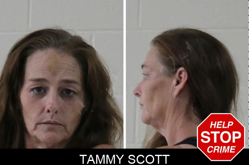 Tammy Scott Mugshots