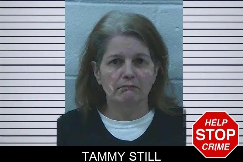 Tammy Still Mugshots