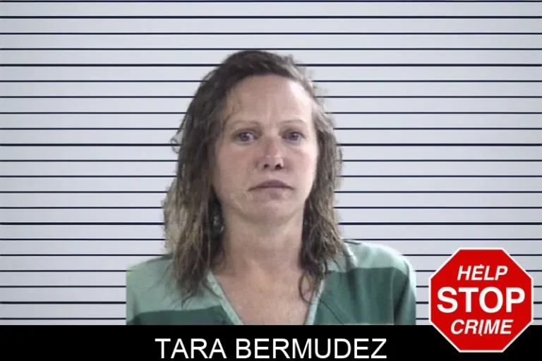 Tara Bermudez mugshot – Whitfield County , Georgia Tara Bermudez