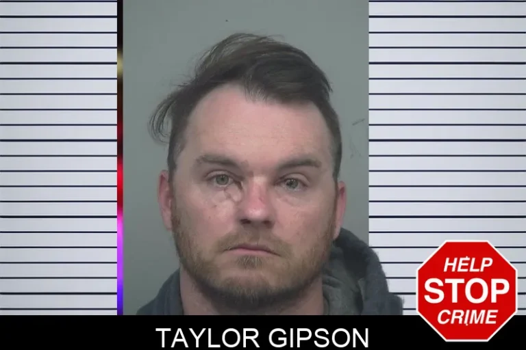 Taylor Gipson mugshot – Gwinnett County , Georgia Taylor Gipson