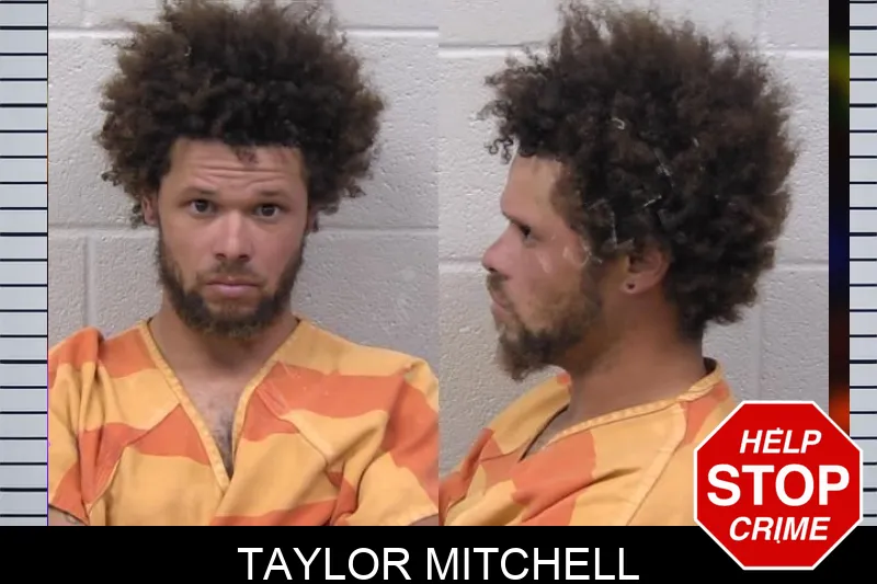 Taylor Mitchell Mugshots