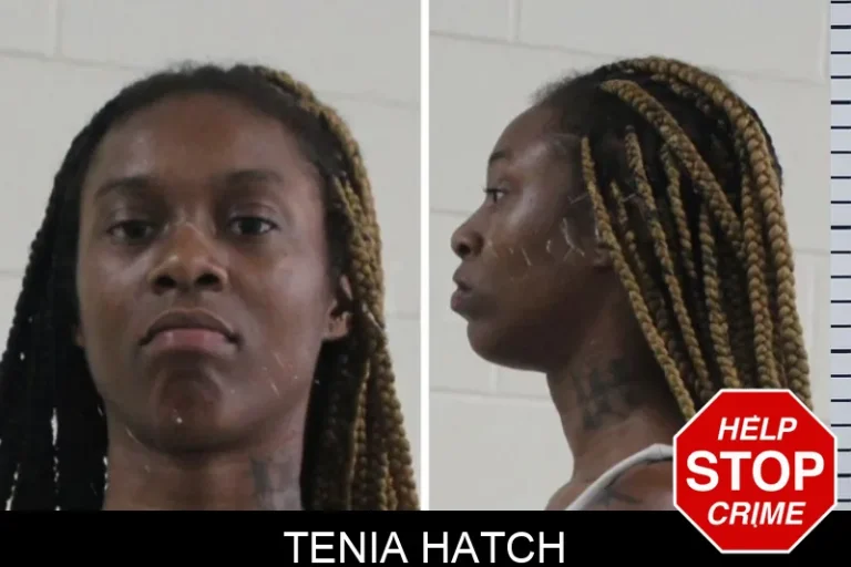 Tenia Hatch