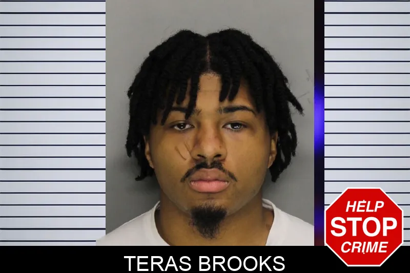 Teras Brooks Mugshots