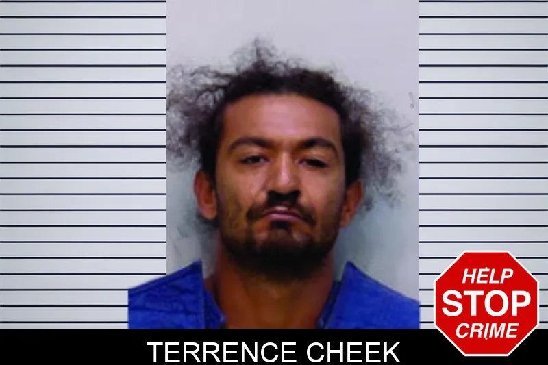 Terrence Cheek mugshot – Bartow County , Georgia Terrence Cheek mugshot