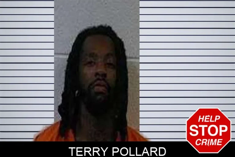 Terry Pollard