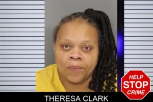 Theresa Clark mugshot