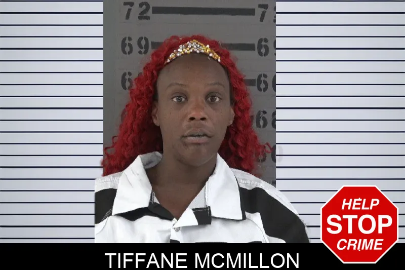 Tiffane McMillon Mugshots