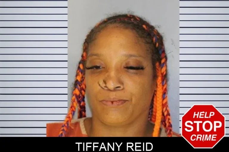 Tiffany Reid mugshot β Hall County , Georgia Tiffany Reid
