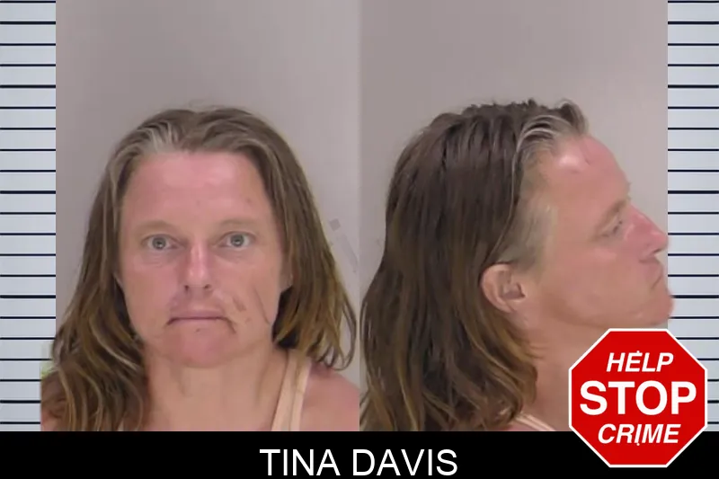 Tina Davis Mugshots