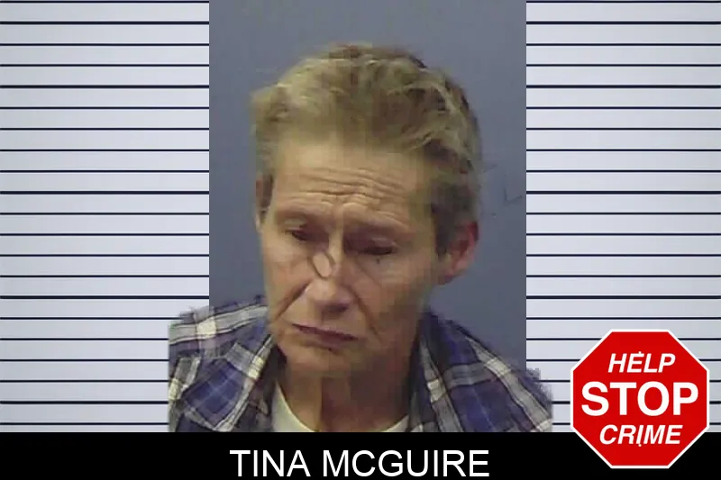 Tina McGuire Mugshots
