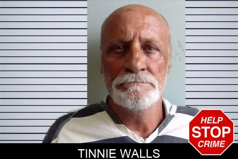 Tinnie Walls