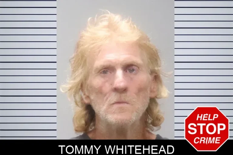 Tommy Whitehead