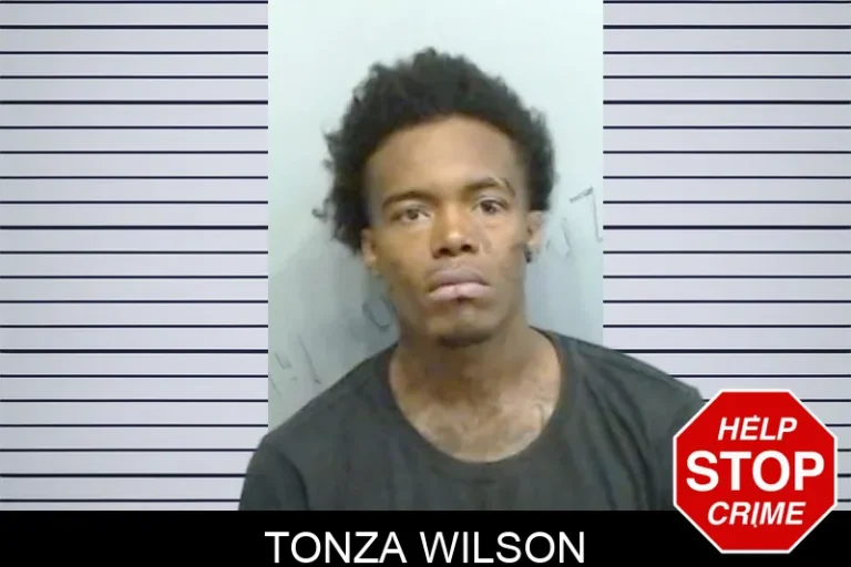 Tonza Wilson mugshot – Fulton County , Georgia Tonza Wilson