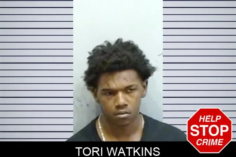 Tori Watkins mugshot – Fulton County , Georgia Tori Watkins