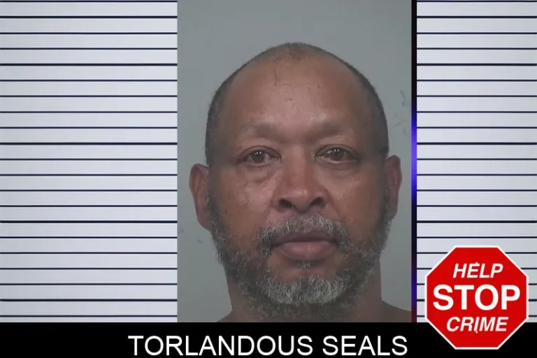 Torlandous Seals