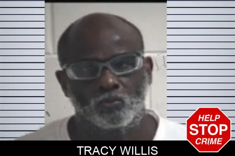 Tracy Willis