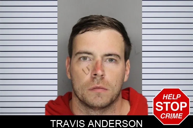 Travis Anderson Mugshots