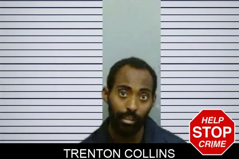 Trenton Collins
