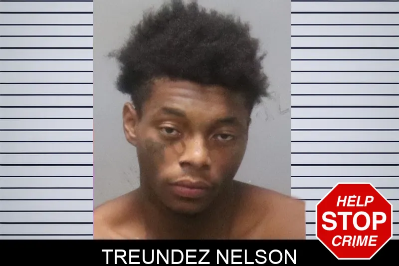 Treundez Nelson mugshot
