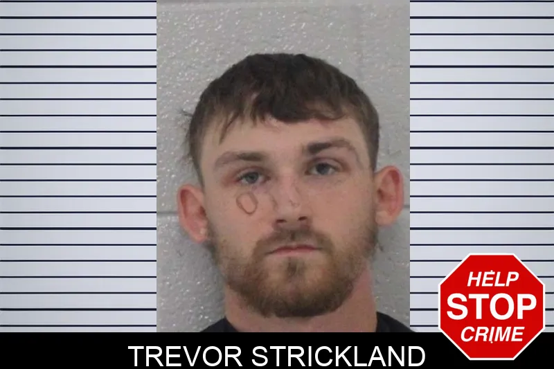 Trevor Strickland Mugshots