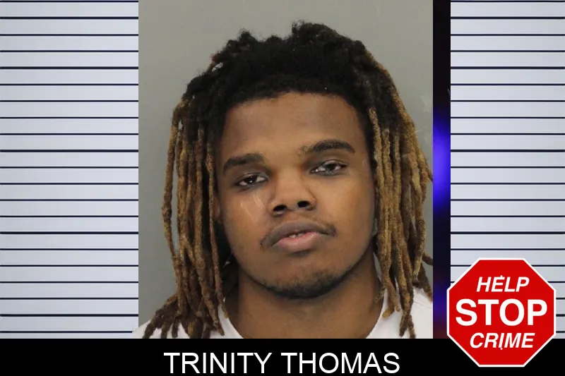 Trinity Thomas mugshot – Cobb County , Georgia Trinity Thomas mugshot