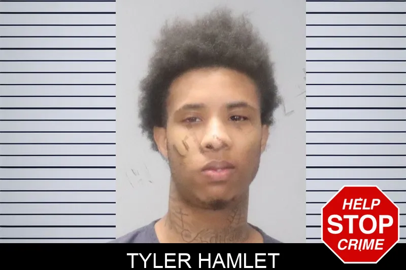 Tyler Hamlet mugshot