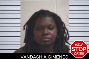 Vandashia Gimenes mugshot