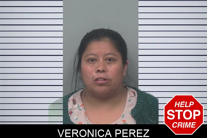 Veronica Perez Mugshots