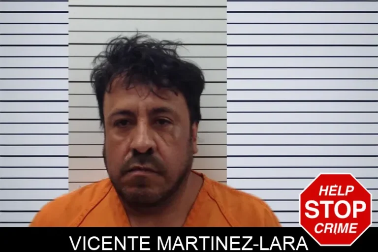 Vicente Martinez-Lara