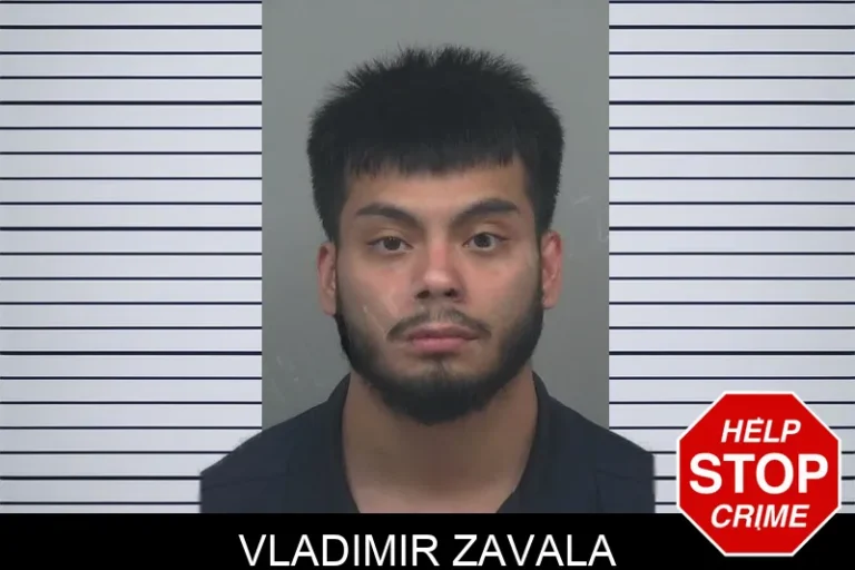 Vladimir Zavala