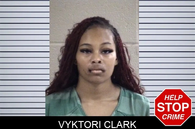 Vyktori Clark mugshot