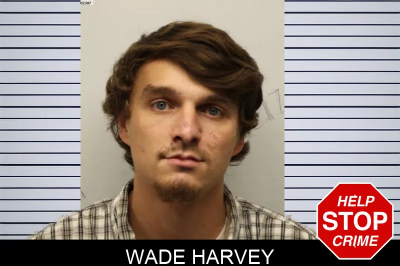 Wade Harvey Mugshots