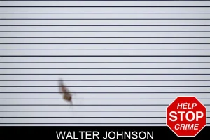 Walter Johnson mugshot