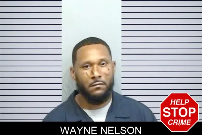 Wayne Nelson mugshot – Fulton County , Georgia Wayne Nelson