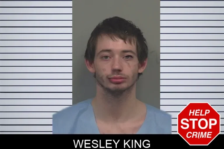 Wesley King mugshot – Gwinnett County , Georgia Wesley King