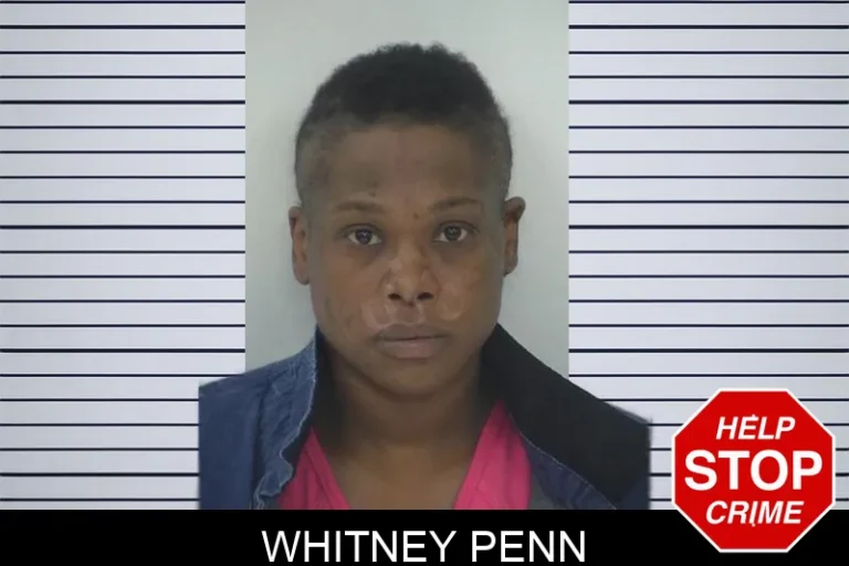 Whitney Penn mugshot – Fayette County , Georgia Whitney Penn