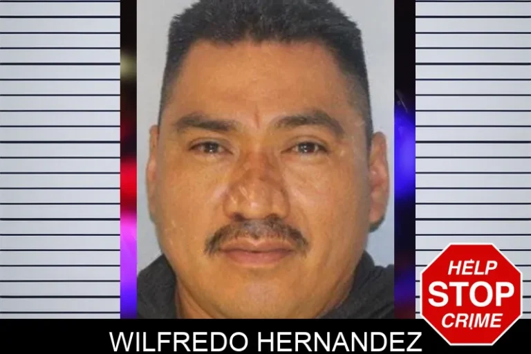 Wilfredo Hernandez