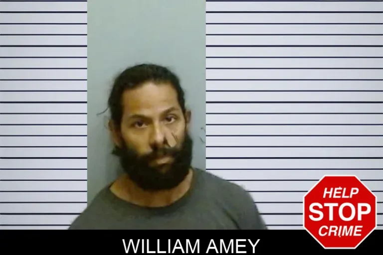 William Amey mugshot – Fulton County , Georgia William Amey