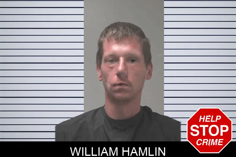 William Hamlin Mugshots