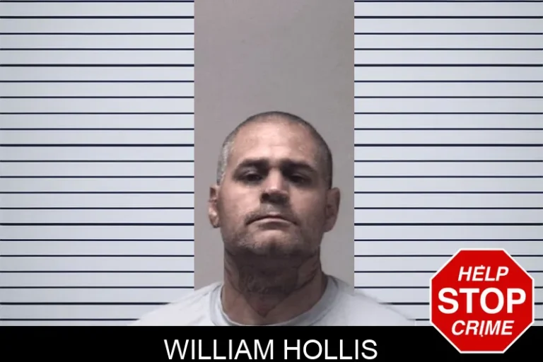William Hollis