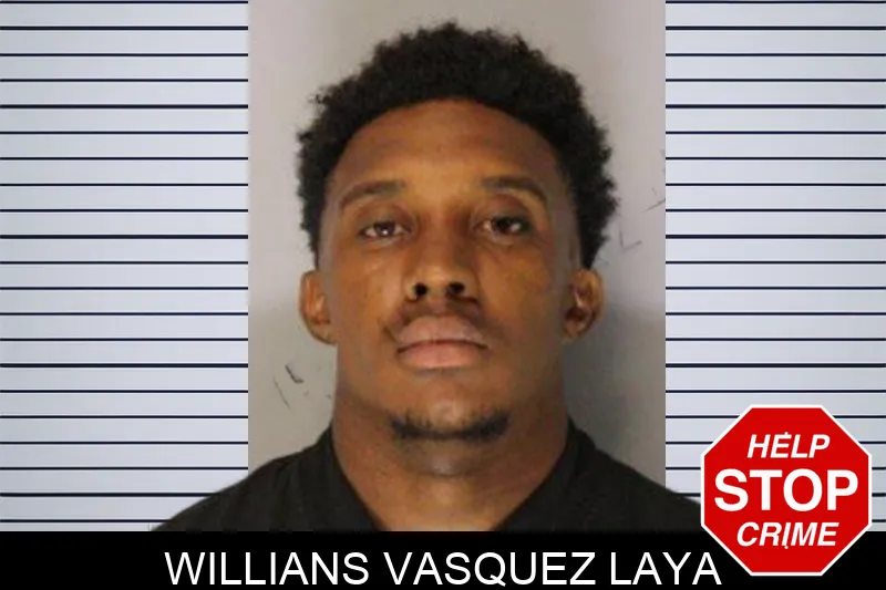 Willians Vasquez Laya mugshot