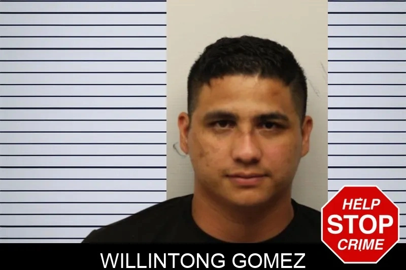 Willintong Gomez Mugshots