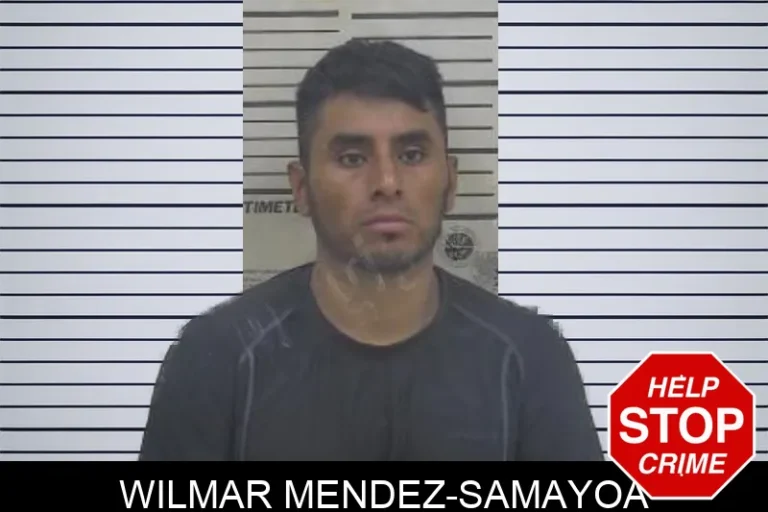 Wilmar Mendez-Samayoa